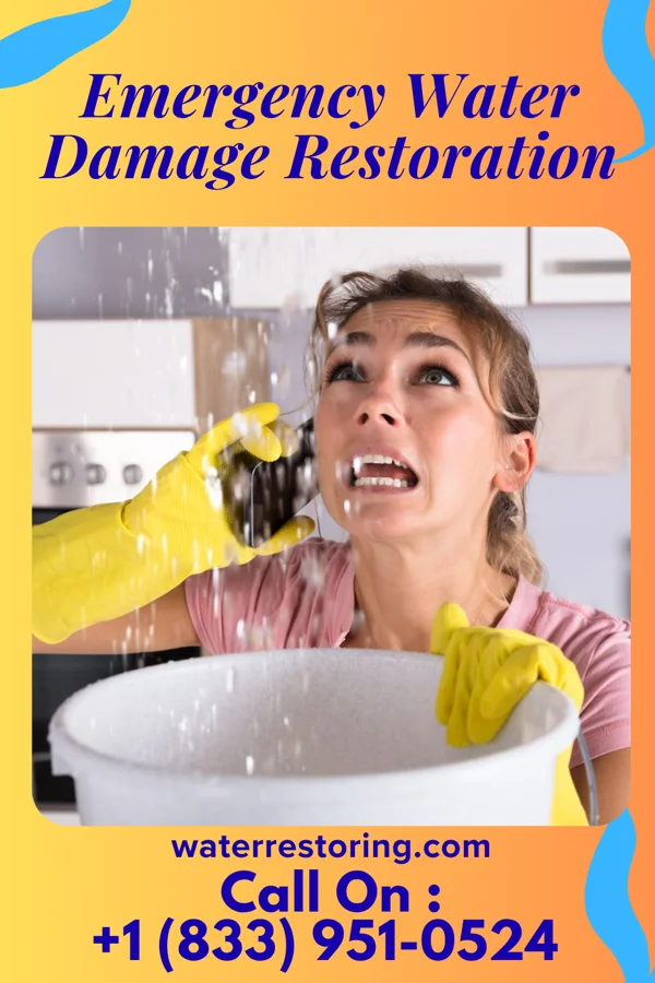 Emergency Water Damage Restoration in Clearview, WA
