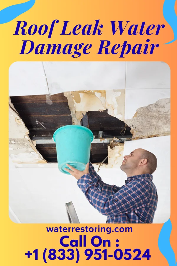 Roof Leak Water Damage Repair in Clearview, WA